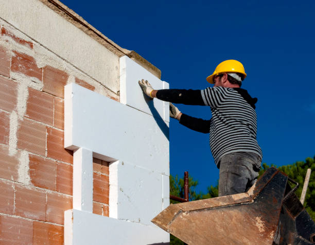 Best Eco-Friendly Insulation in Moncks Corner, SC
