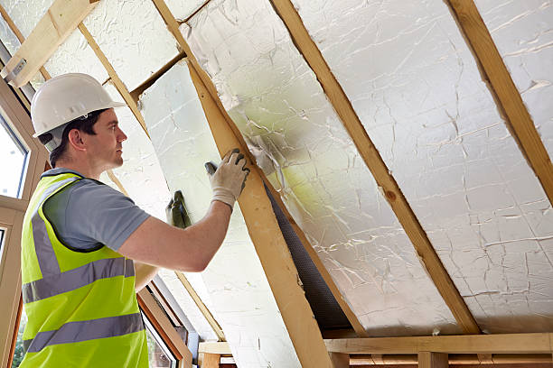 Best Cellulose Insulation in Moncks Corner, SC