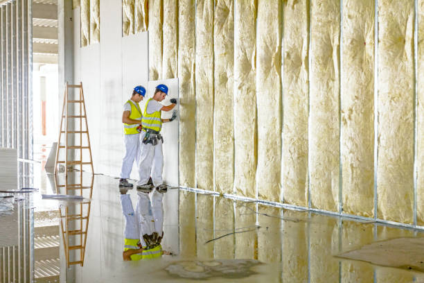 Best Specialized Insulation Services in Moncks Corner, SC
